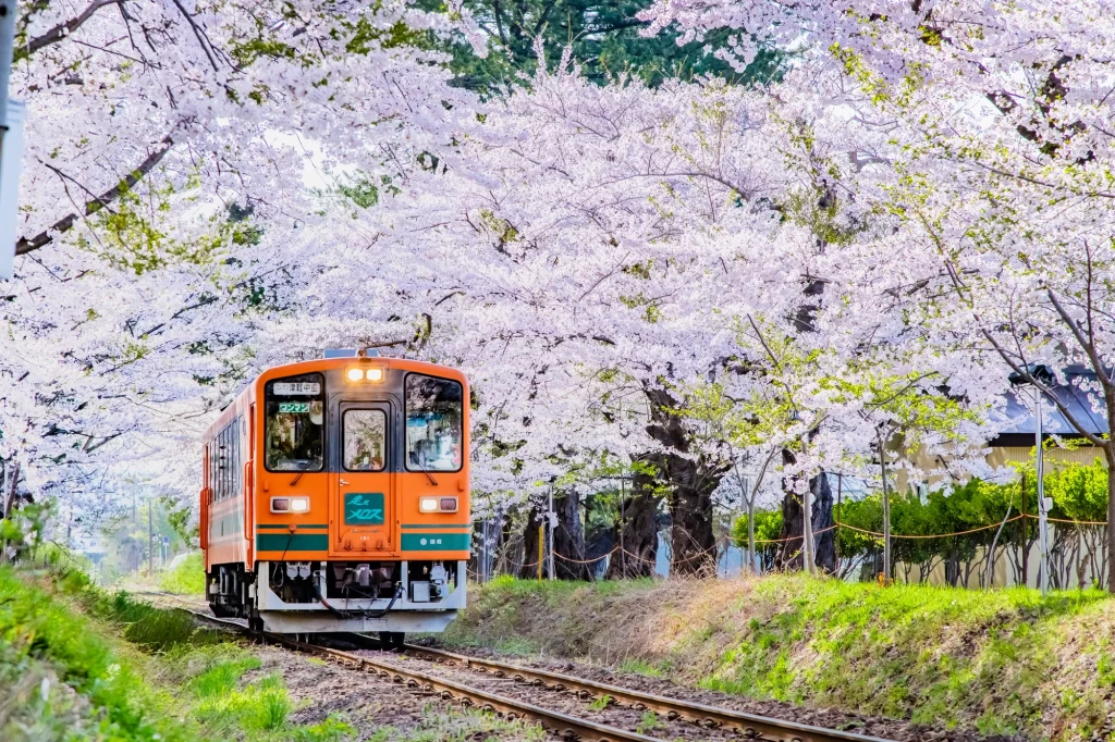 Aomori - Ashino Park - Tsugaru Railway