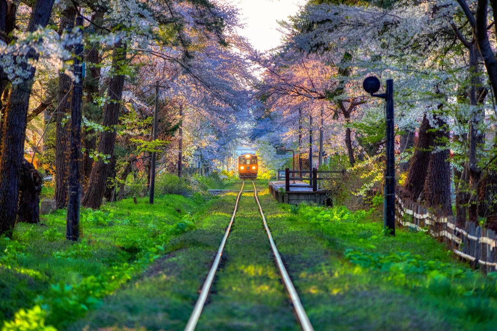 Aomori - Ashino Park - Tsugaru Railway