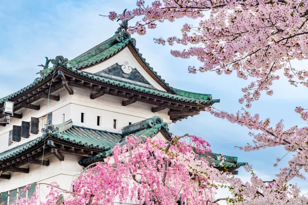 Aomori - Cherry Blossoms In Hirosaki Park - Hirosaki Catsle