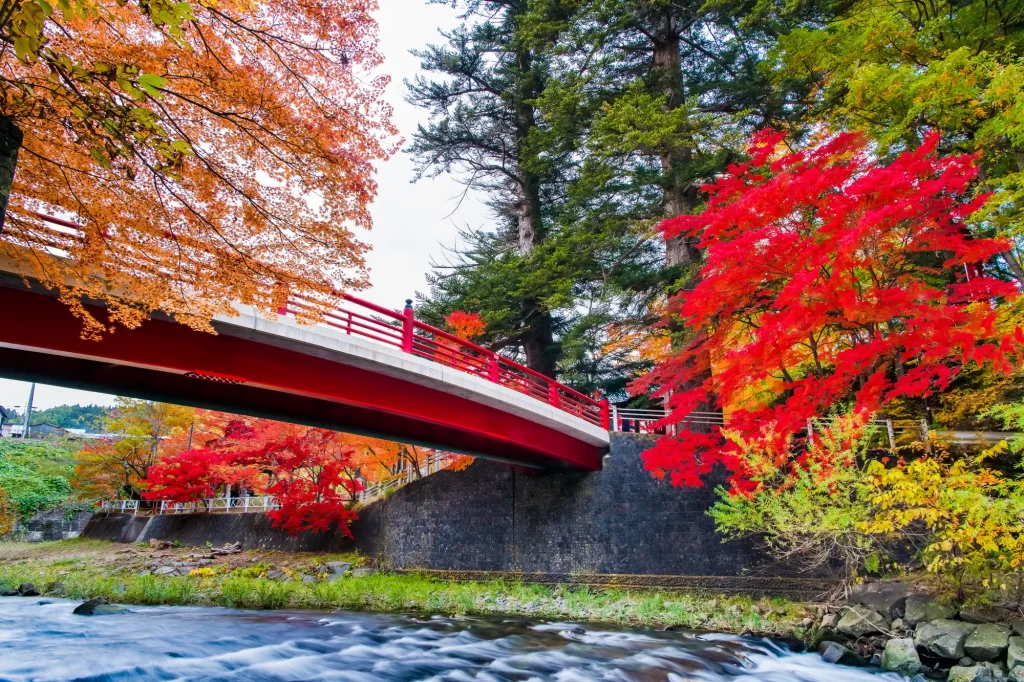 Aomori - Nakano Momijiyama