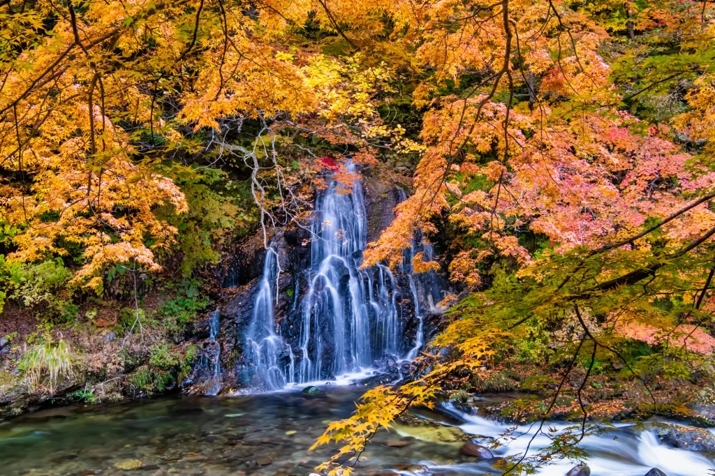 Aomori - Nakano Momijiyama - Water Fall