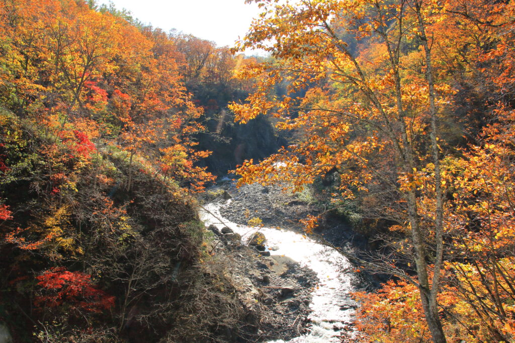 Hokkaido Obihiro - Iwanai Senkyo