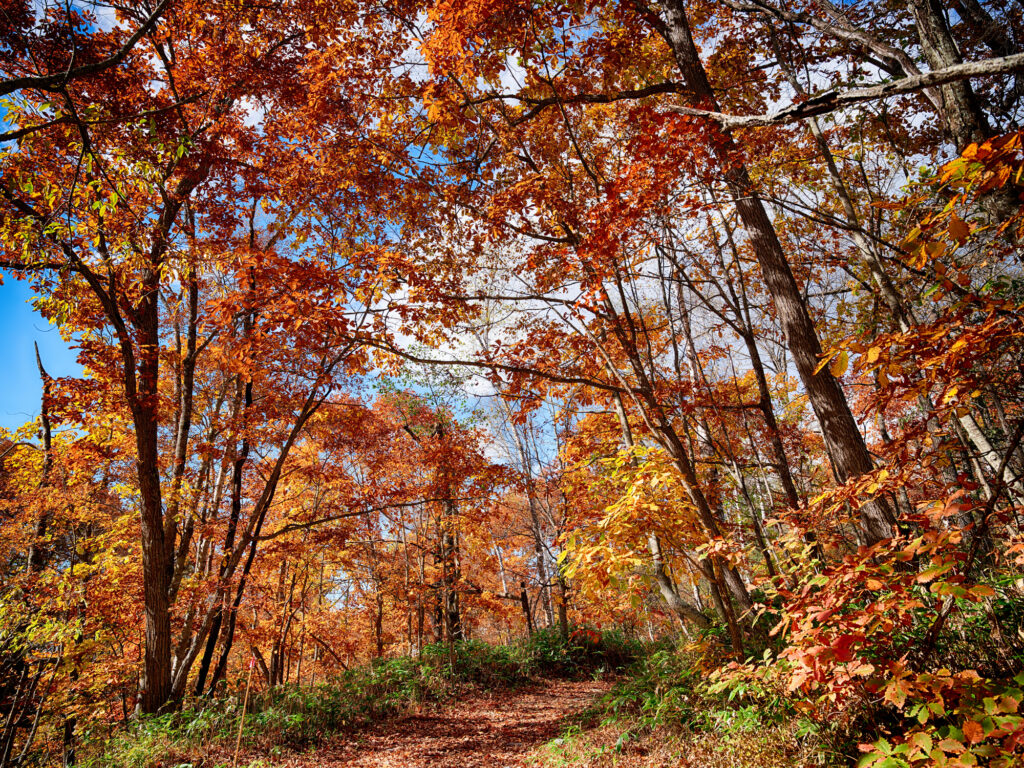 Hokkaido Obihiro - Iwanai Senkyo