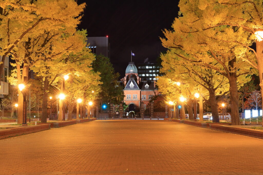 Hokkaido Sapporo - Ginkgo Biloba Trees