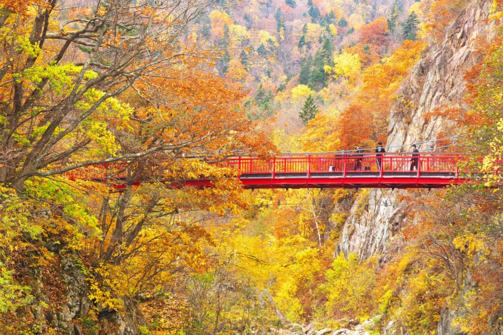 Hokkaido Obihiro - Jozankei