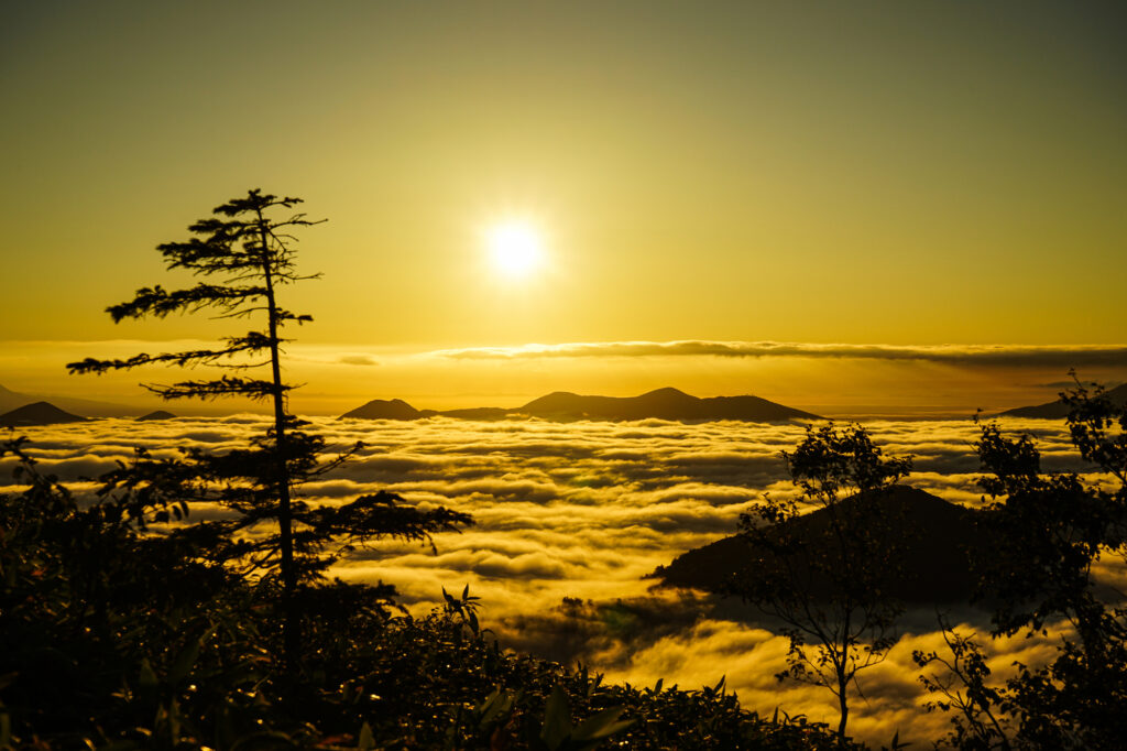 Hokkaido Tomamu - Sea Of Clouds