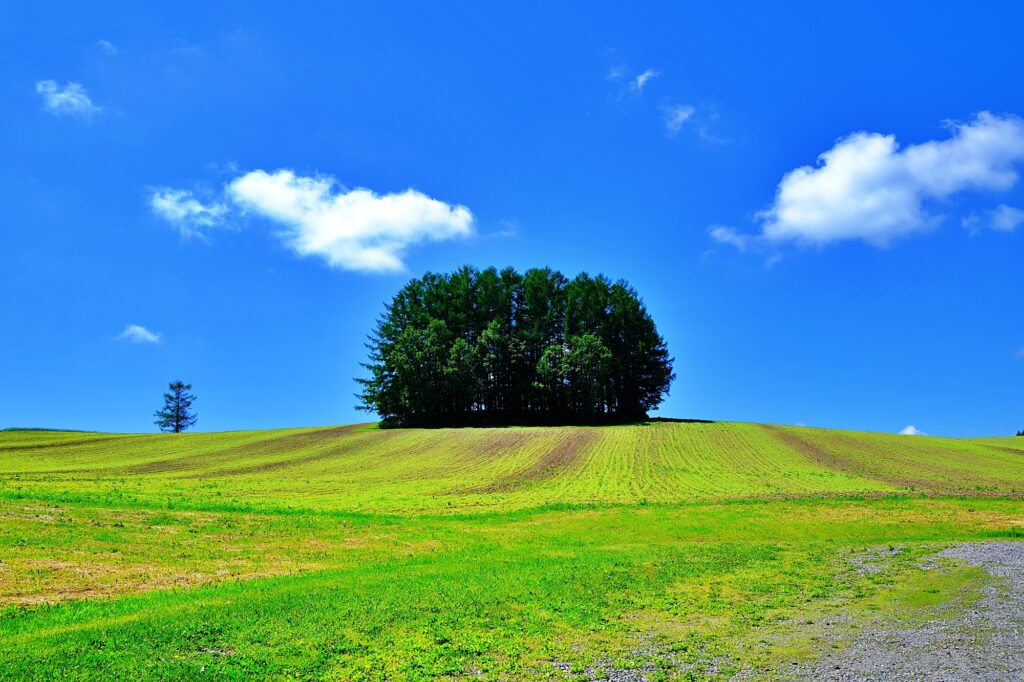 Hokkaido - Biei Hills