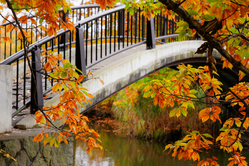 Hokkaido - Onuma Quasi National Park - Kogetsu Bridge