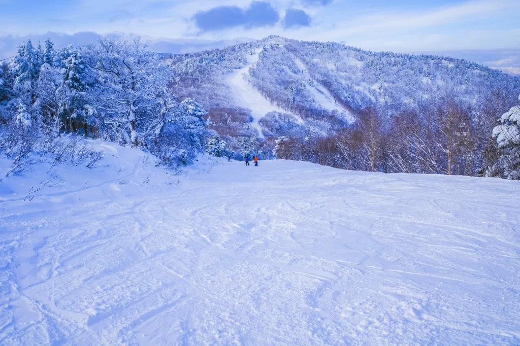 Iwate - Appi Ski Resort