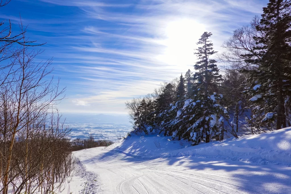 Iwate - Appi Ski Resort