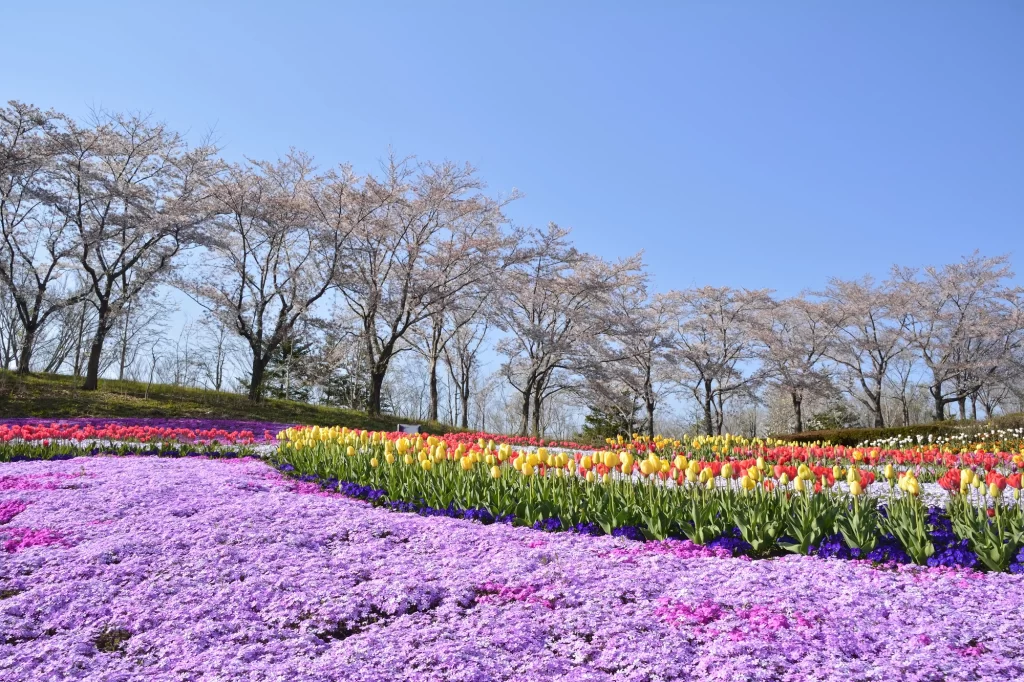 Miyagi - Michinoku Lakewood National Government Park