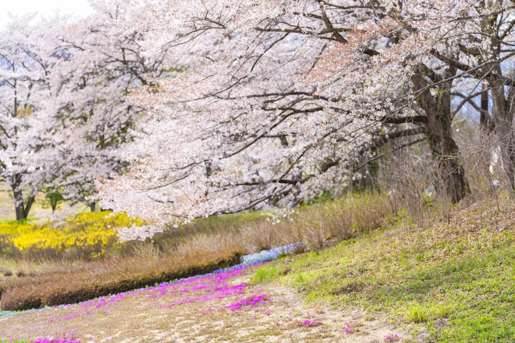 Miyagi - Michinoku Lakewood National Government Park