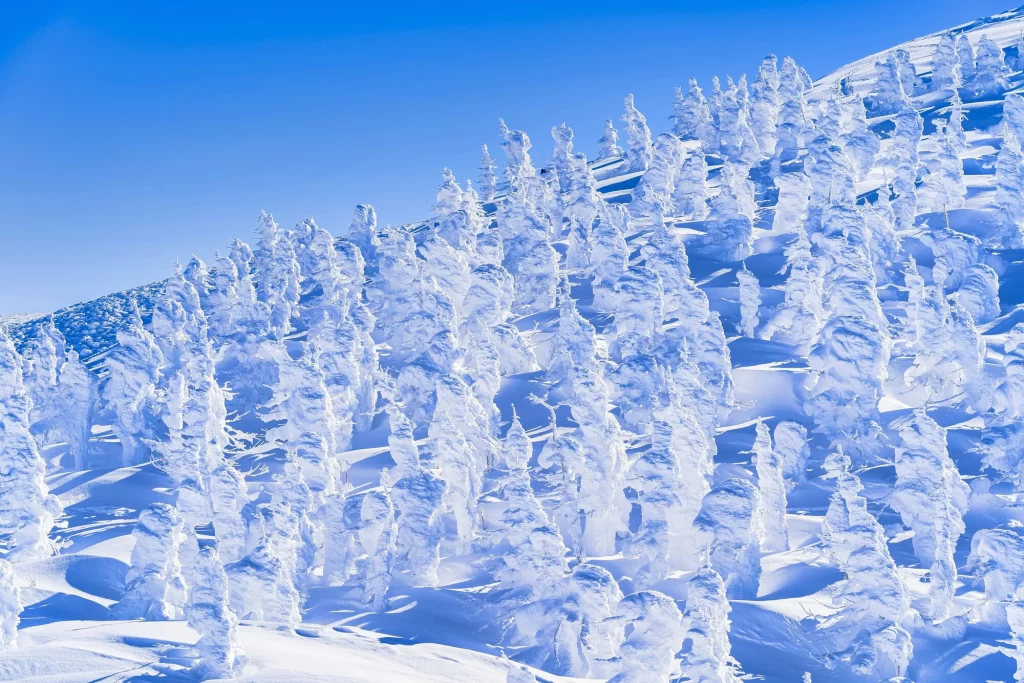 Miyagi and Yamagata - Zaou - Ice Trees