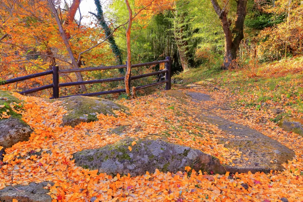 Sendai - Lei Lai Gorge