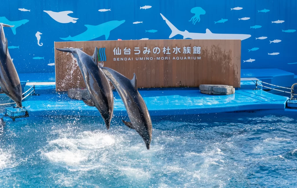 Sendai - Uminomori Aquarium