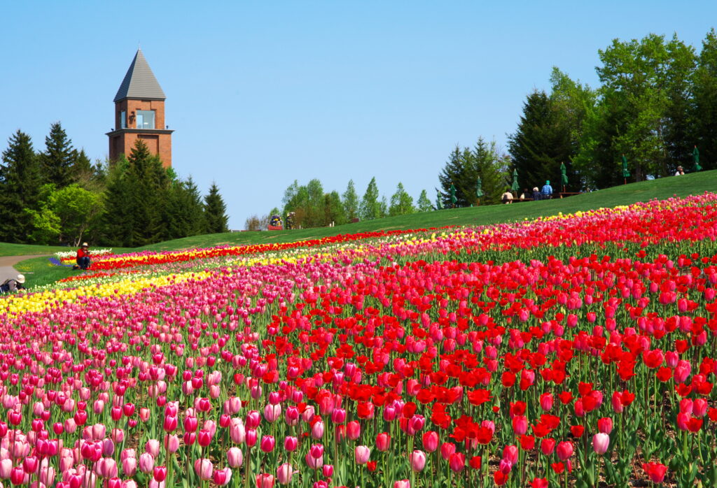 Hokkaido - Takino Suzuran Hillside Park